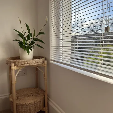 Holiday home Restored Victorian With Private Garden Bristol