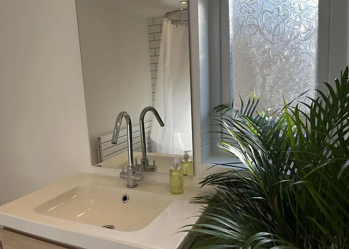 Restored Victorian With Private Garden Bristol