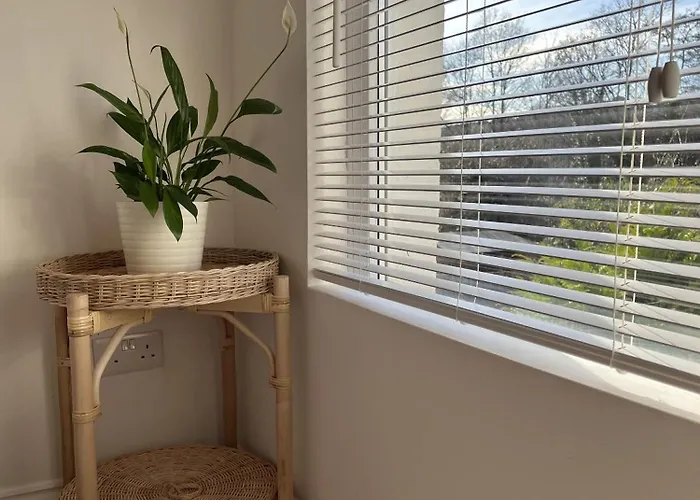 Holiday home Restored Victorian With Private Garden Bristol